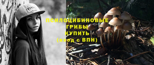 прущий лед Балахна