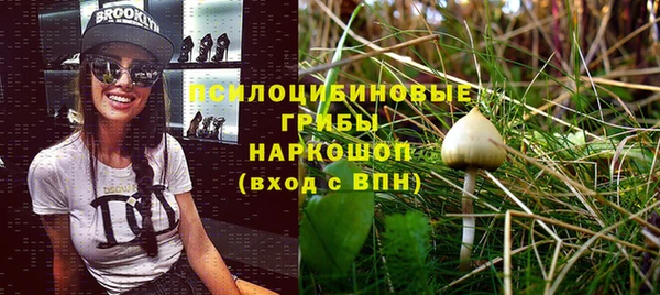 ешки Арсеньев