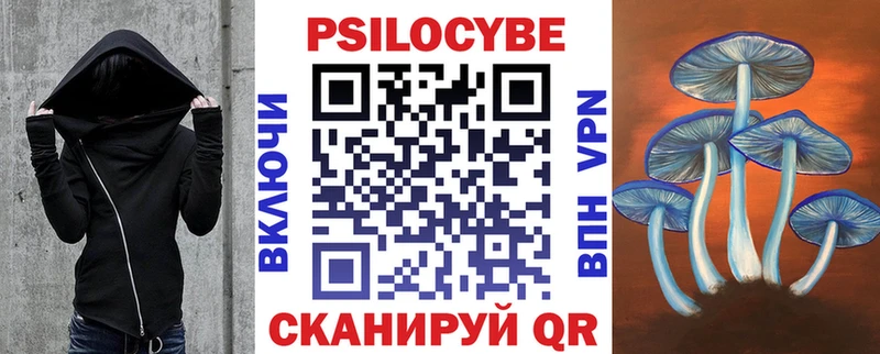 где можно купить наркотик  Гулькевичи  Галлюциногенные грибы Magic Shrooms 