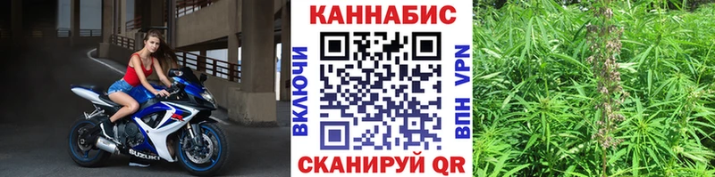 Шишки марихуана сатива  Гулькевичи 